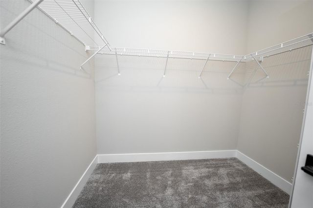 14355 BRAEMAR STREET, Winter Garden, FL 34787