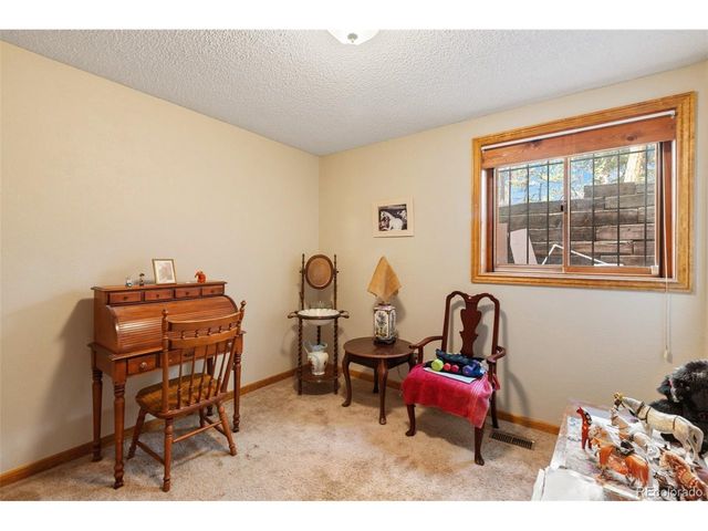 340 Ponderosa Ct, Woodland Park, CO 80863