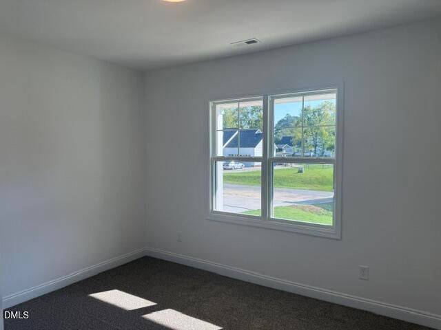 199 Waters Edge Drive, Erwin, NC 28339