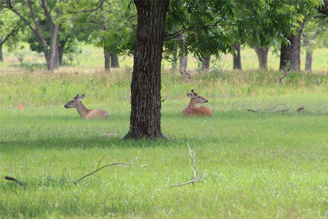200 Poco Bueno Court, Granbury, TX 76049