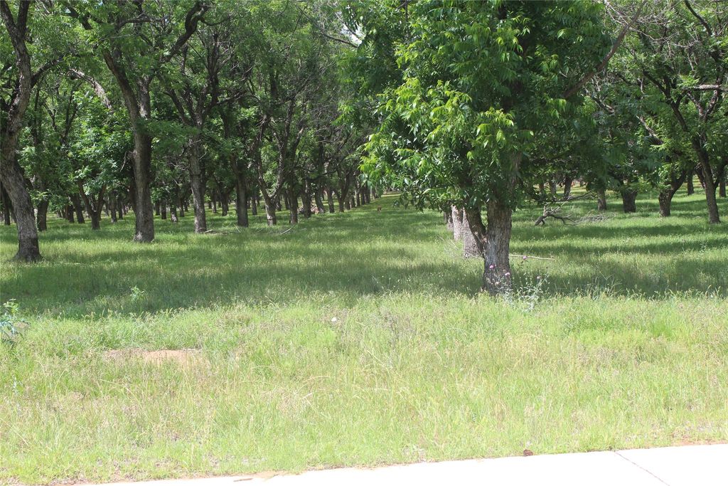 200 Poco Bueno Court, Granbury, TX 76049