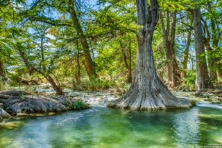 192 FM 2828, Medina, TX 78055