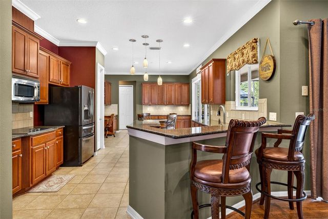 16518 IVY LAKE DRIVE, Odessa, FL 33556