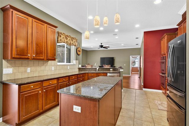 16518 IVY LAKE DRIVE, Odessa, FL 33556