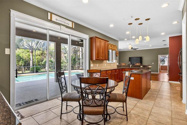 16518 IVY LAKE DRIVE, Odessa, FL 33556