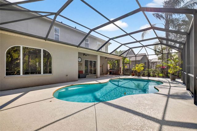 16518 IVY LAKE DRIVE, Odessa, FL 33556