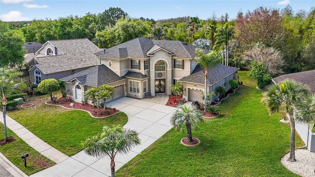 16518 IVY LAKE DRIVE, Odessa, FL 33556