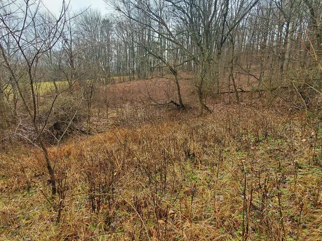 2165 State Hwy 3246, Crab Orchard, KY 40419