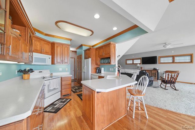 9254 Cherry Point Road, Manitou Beach, MI 49253