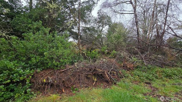 248 Wishkah Street, Ocean Shores, WA 98569