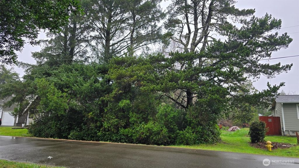 248 Wishkah Street, Ocean Shores, WA 98569