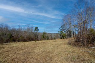 0 Chestnut Grove Road # 0, Shiloh, GA 31826