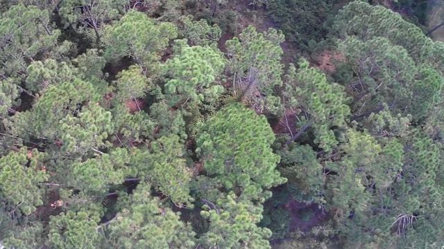 105 Pine Cone Dr, Georgetown, FL 32139