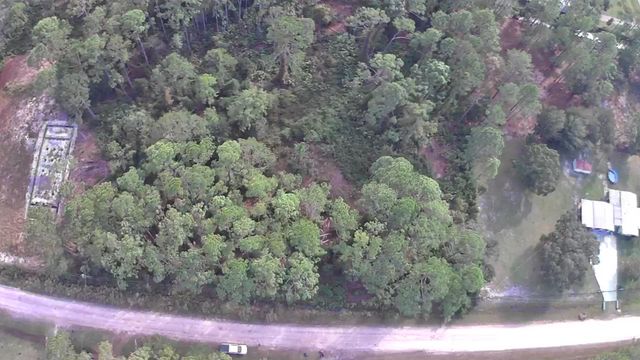 105 Pine Cone Dr, Georgetown, FL 32139