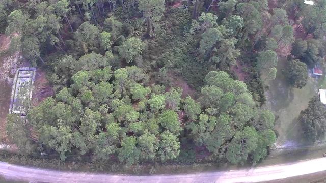 105 Pine Cone Dr, Georgetown, FL 32139