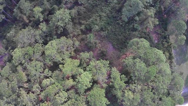 105 Pine Cone Dr, Georgetown, FL 32139