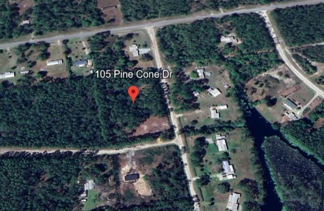 105 Pine Cone Dr, Georgetown, FL 32139