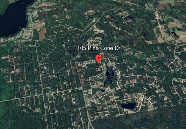 105 Pine Cone Dr, Georgetown, FL 32139