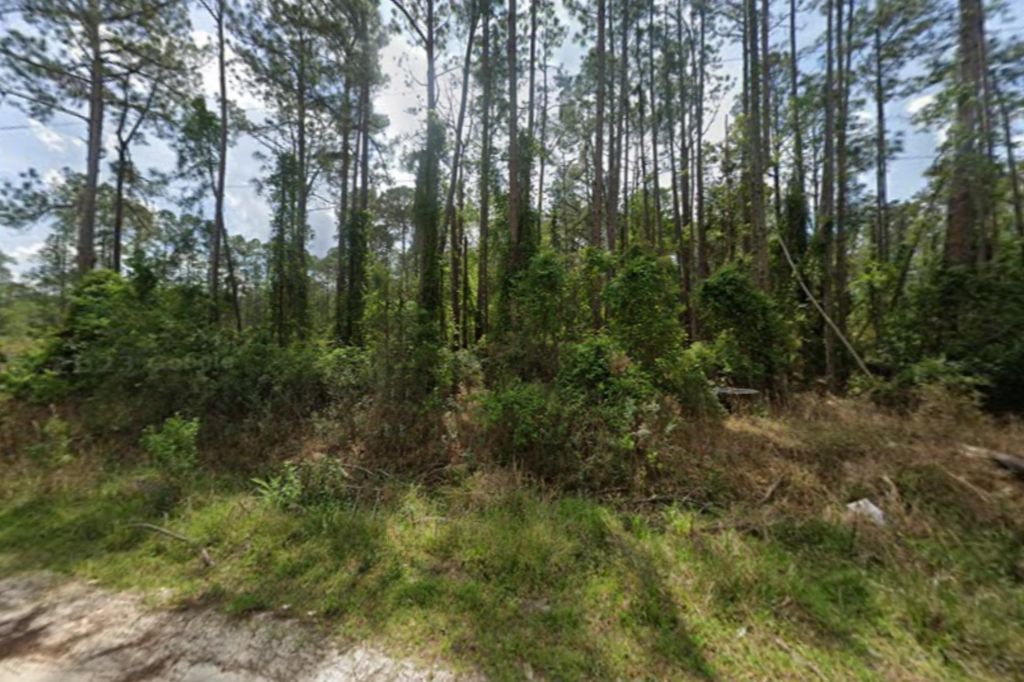 105 Pine Cone Dr, Georgetown, FL 32139
