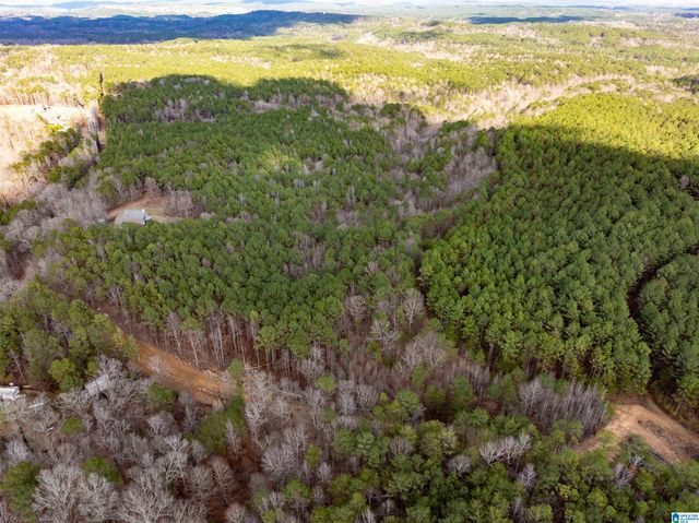 747 ALLIANCE ROAD, Bessemer, AL 35023