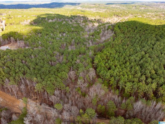 747 ALLIANCE ROAD, Bessemer, AL 35023
