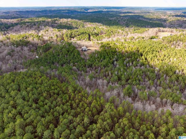 747 ALLIANCE ROAD, Bessemer, AL 35023