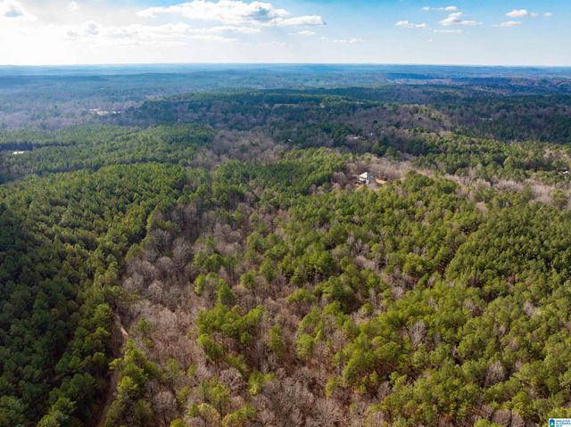 747 ALLIANCE ROAD, Bessemer, AL 35023