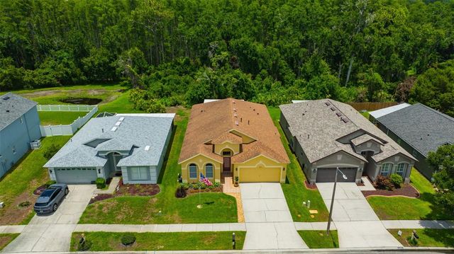 19507 ARDWICK WAY, Land O Lakes, FL 34638