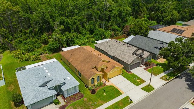 19507 ARDWICK WAY, Land O Lakes, FL 34638