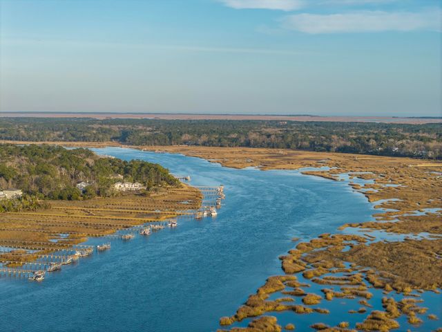 1455 Alligator Creek Court, Awendaw, SC 29429