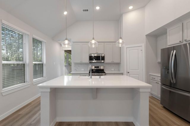 434 Soapberry Tree Court, Conroe, TX 77318