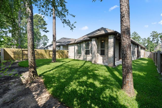434 Soapberry Tree Court, Conroe, TX 77318