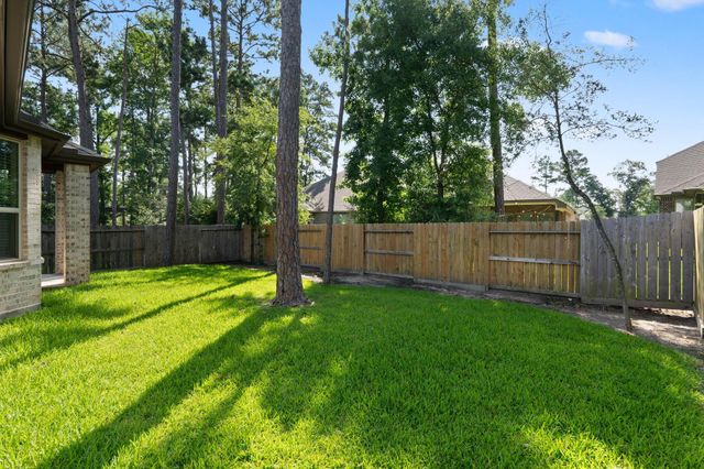 434 Soapberry Tree Court, Conroe, TX 77318