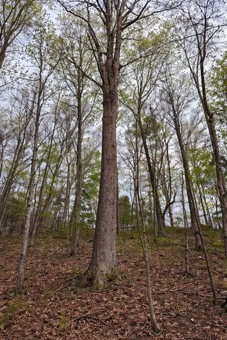 1440 Spout Springs Road, Clay City, KY 40312