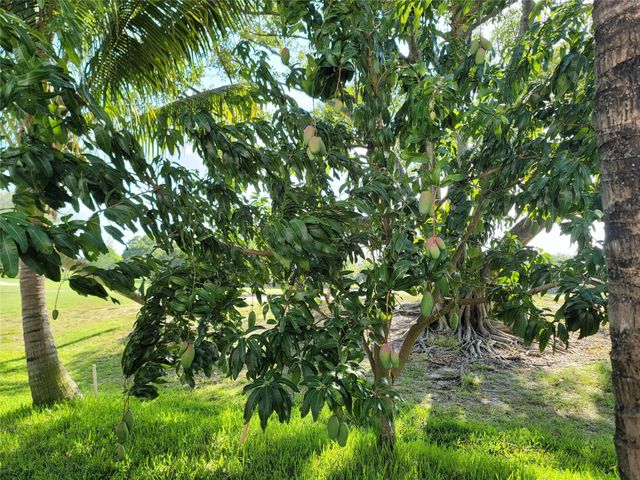 8117 Pelican Harbour Drive, Lake Worth, FL 33467