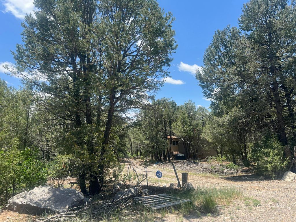 17 MICHELLE Court, Edgewood, NM 87015