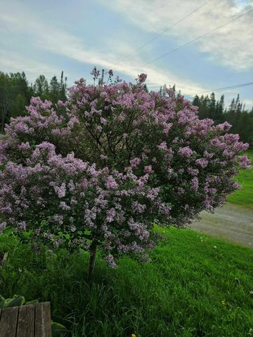 2431 Roaring Brook Road, Barton, VT 05822