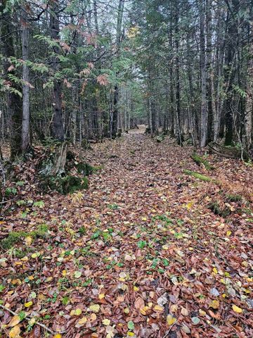 2431 Roaring Brook Road, Barton, VT 05822