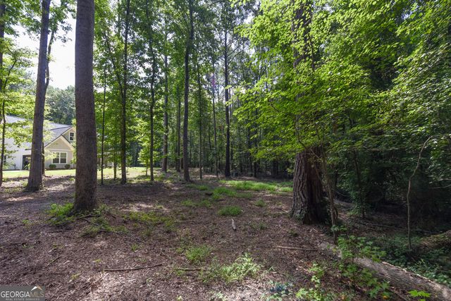 4668 Gordon Road, Senoia, GA 30276