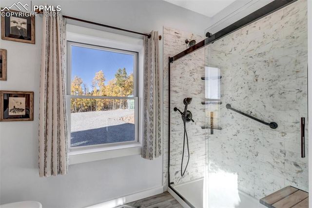 1023 Mexican Ridge Circle, Como, CO 80432