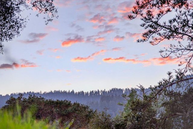 2203 Quail Hollow Road, Ben Lomond, CA 95005