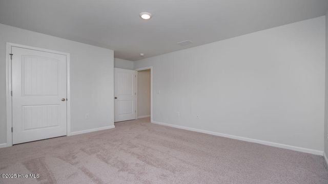 4318 Rough Stalk Lane Lot 309, Castle Hayne, NC 28429