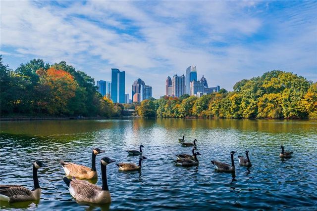 895 Durant Place NE, Atlanta, GA 30309
