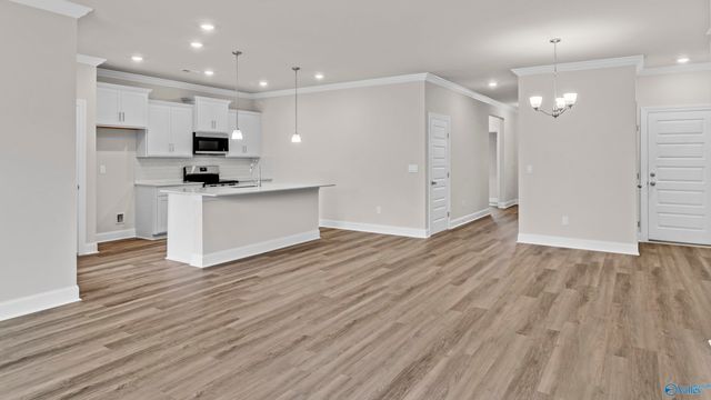 13271 Gallop Quick Court, Madison, AL 35756
