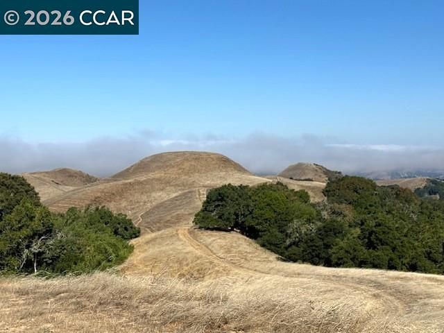 5913 Horsemans Canyon Dr 4C, Walnut Creek, CA 94595