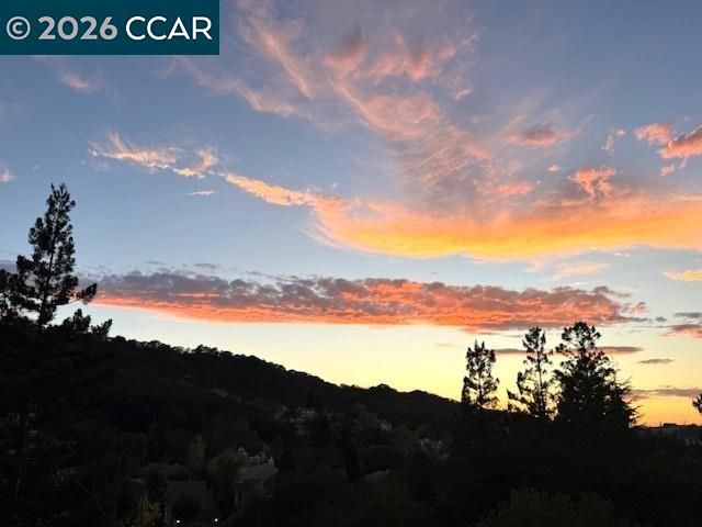 5913 Horsemans Canyon Dr 4C, Walnut Creek, CA 94595