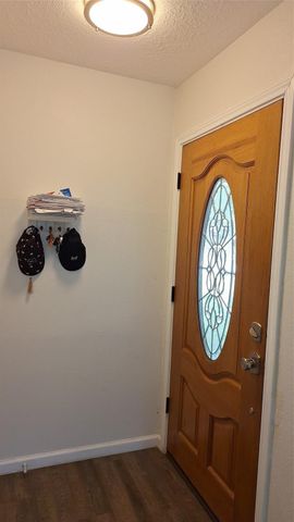 19959 Salt River Court, Katy, TX 77449