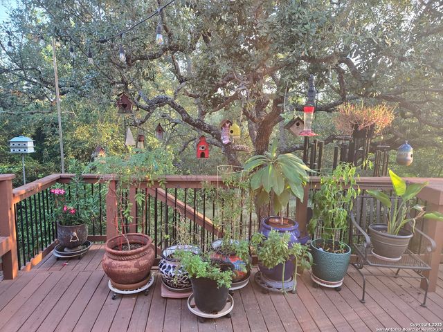 13707 palatine, San Antonio, TX 78253