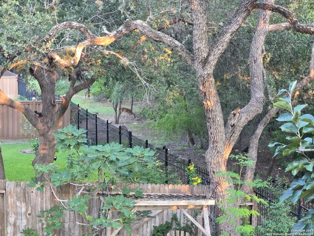 13707 palatine, San Antonio, TX 78253