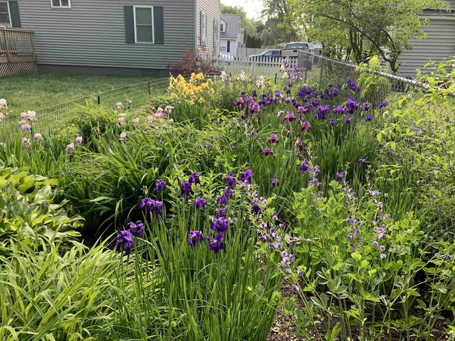 5 Lapointe Street, Winooski, VT 05404